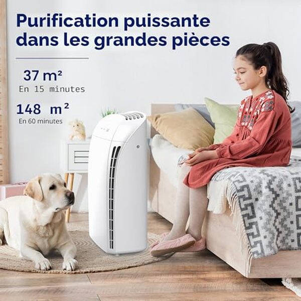 Découvrez notre test complet du purificateur d'air MSA3S avec filtre HEPA : performances, efficacité et avis détaillé pour une maison plus saine.